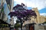 Avenida Paulista